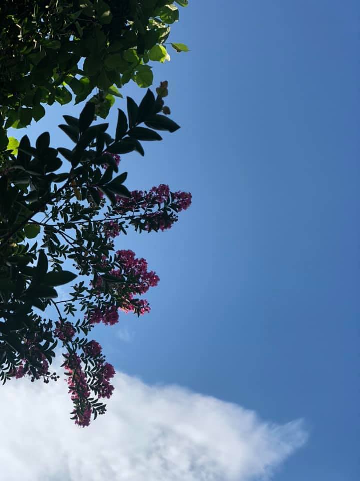 117168770_2626655057595062_3528628687759424101_n.jpg